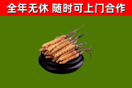 本溪市烟酒回收冬虫夏草.jpg